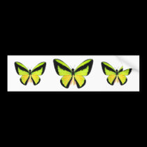 BirdWingZ Butterfly bumper stickers