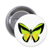 BirdWingZ Butterfly buttons