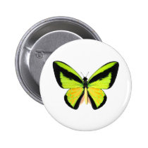 BirdWingZ Butterfly buttons