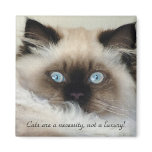 Birman - Ragdoll Cat Lover Magnet