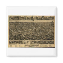 Birmingham Alabama Late 1800's Birds Eye View Refrigerator Magnet