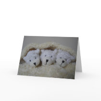 Birth announcement for triplets