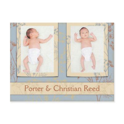 Birth Announcement for Twins - Fennel Blue Post Card by PocoModo