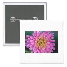 Birth Flower -November - Chrysanthemum Pins