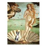 Birth of Venue Venus - Boston Terrier #1 Postcard