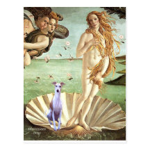 Birth of Venue - Whippet 8 Post Cards