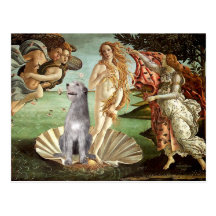 Birth of Venus-Irish Wolfhound #6 Postcards
