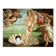 Birth of Venus - Japanese Chin 3 Postcards