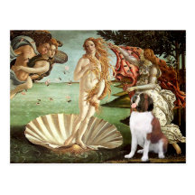 Birth of Venus - Saint Bernard Post Card