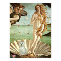 Birth of Venus - Westie (S) Postcards