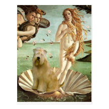 Birth of Venus - Wheaten Terrier 10 Postcard