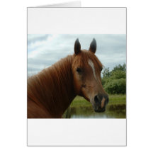 Birthday 012 greeting card