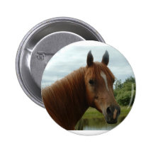 Birthday 012 pinback buttons