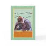 Birthday, 39th, Gorilla at Desk