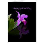 Birthday, 75th, Orchid on Black Cards