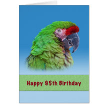 Birthday, 95th, Green Parrot Greeting Cards