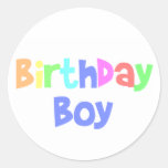 Birthday Boy Round Stickers