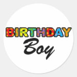 Birthday Boy Stickers