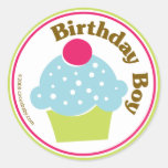 Birthday Boy Stickers
