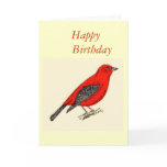 Birthday Card