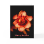 Birthday Card