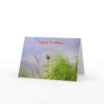 Birthday Card - Butterfly
