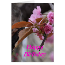 Birthday Card: Cherry Blossom