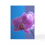 Birthday Card for Daughter -- Orchid