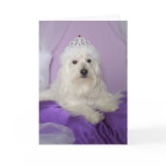 Birthday Card for Granddaughter -- Princess