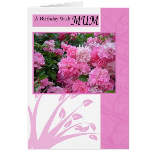Birthday Card for mum, wild pink roses