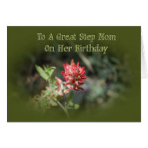Birthday Card For Stepmom