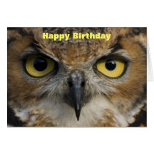 Birthday Card - Owls Eyes