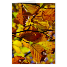 Birthday Card with Fall Foliage Design