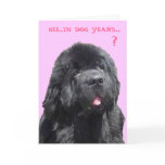 Birthday Card with Newfy