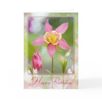 Birthday Columbine Card