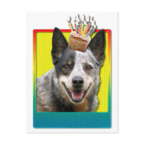 Birthday Cupcake - Australian Cattle Dog Postcard
