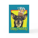Birthday Cupcake - Australian Kelpie - Jude