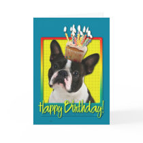 Birthday Cupcake - Boston Terrier