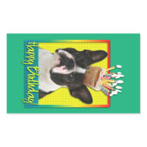 Birthday Cupcake - Boston Terrier