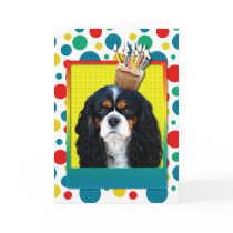 Birthday Cupcake - Cavalier - Tri-Colour