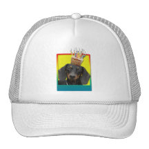 Birthday Cupcake - Dachshund - Winston Hat
