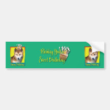 Birthday Cupcake - Dingo Bumper Stickers