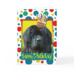Birthday Cupcake - Newfoundland
