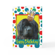 Birthday Cupcake - Newfoundland