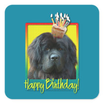 Birthday Cupcake - Newfoundland