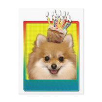 Birthday Cupcake - Pomeranian Postcard