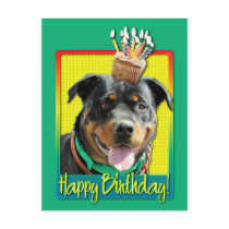 Birthday Cupcake - Rottweiler - SambaParTi