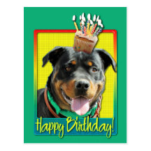 Birthday Cupcake - Rottweiler - SambaParTi Post Cards