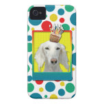 Birthday Cupcake - Saluki Iphone 4 Cover