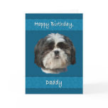 Birthday, Daddy , Shih Tzu Dog Cards